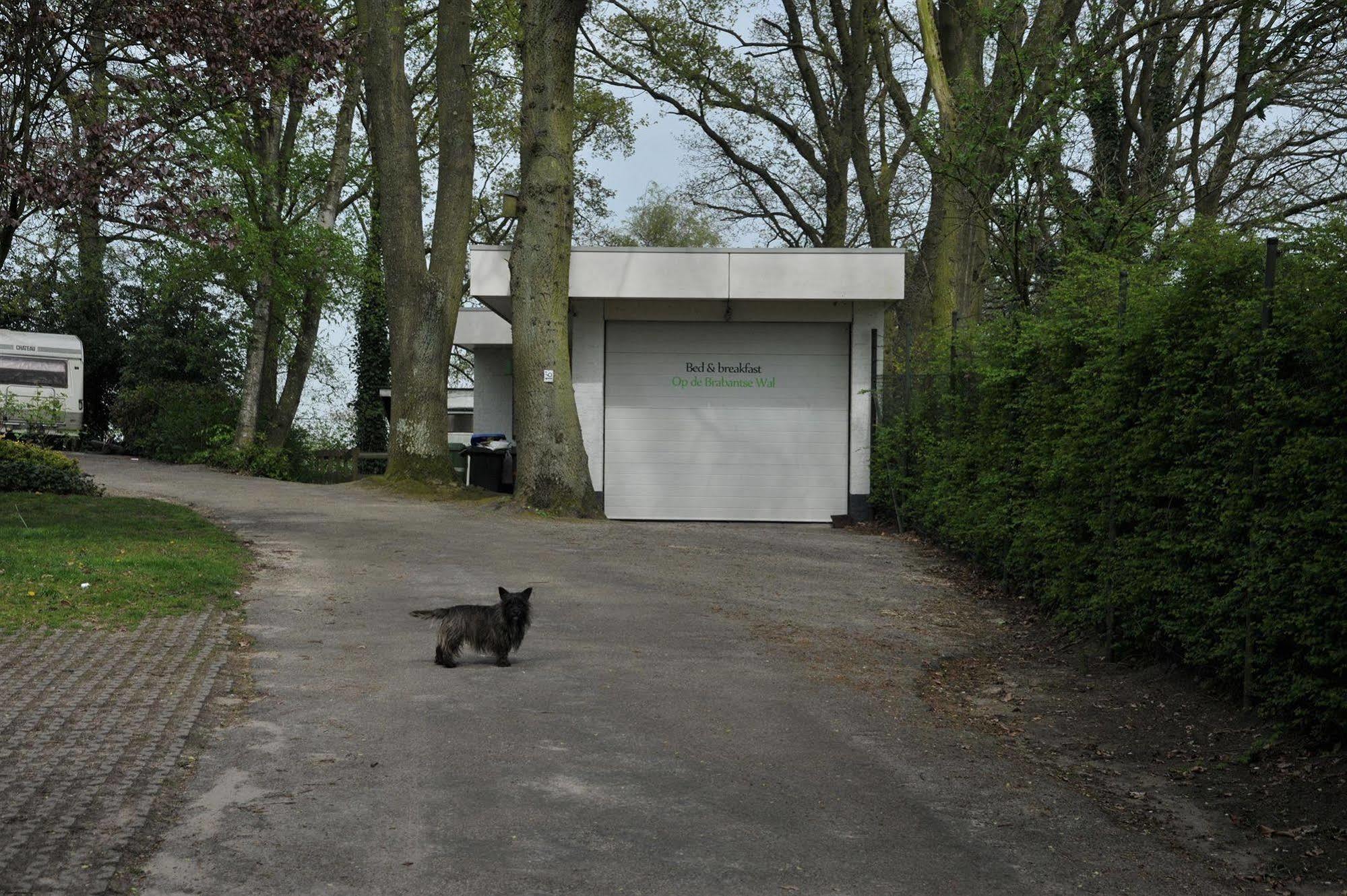 B&B Op De Brabantse Wal Halsteren Zewnętrze zdjęcie